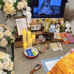宠物家长客户见证