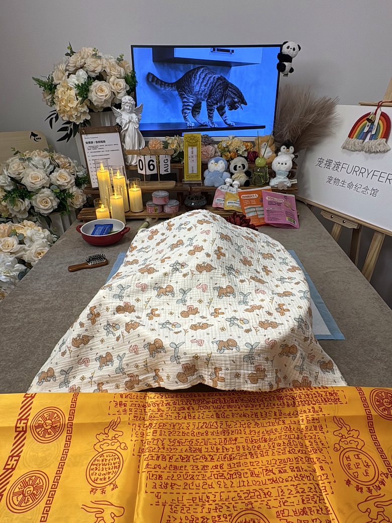 长沙宠物殡葬门店告别厅环境