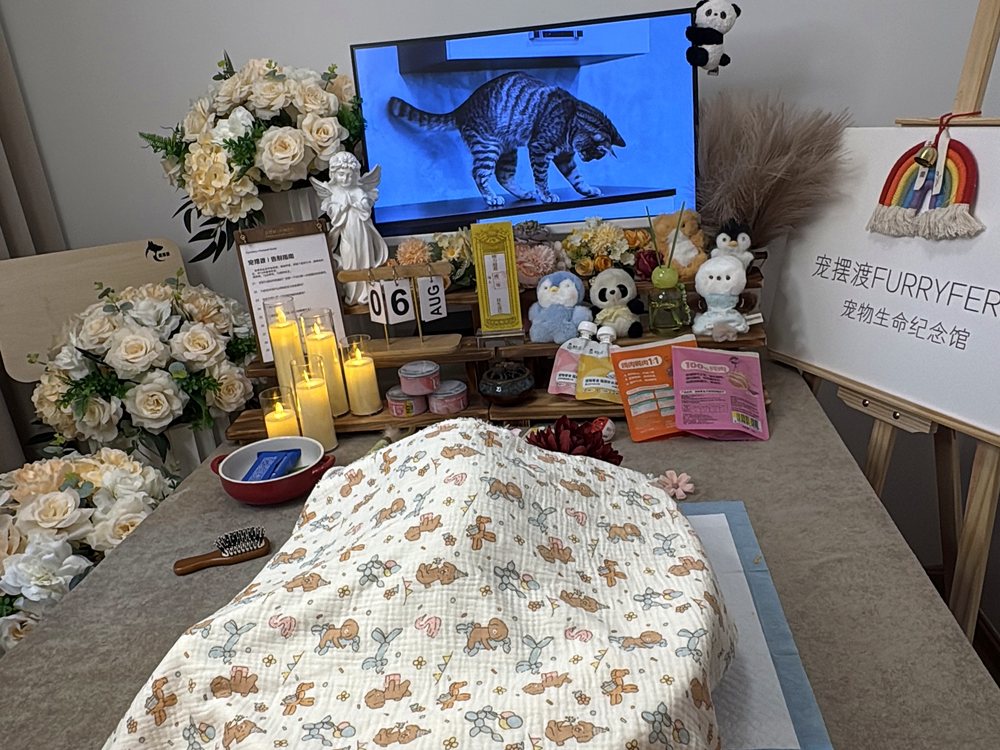 宠物告别仪式现场布置